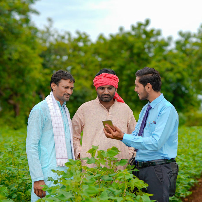 Knowledge Sharing