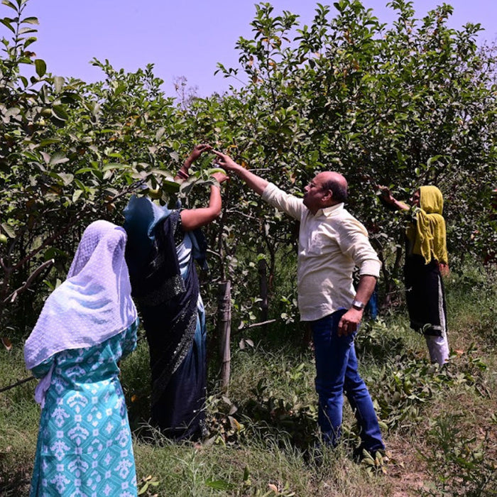 Responsible Crop Care