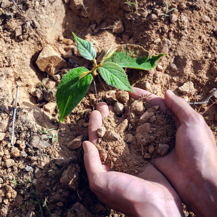 Soil Health Awareness
